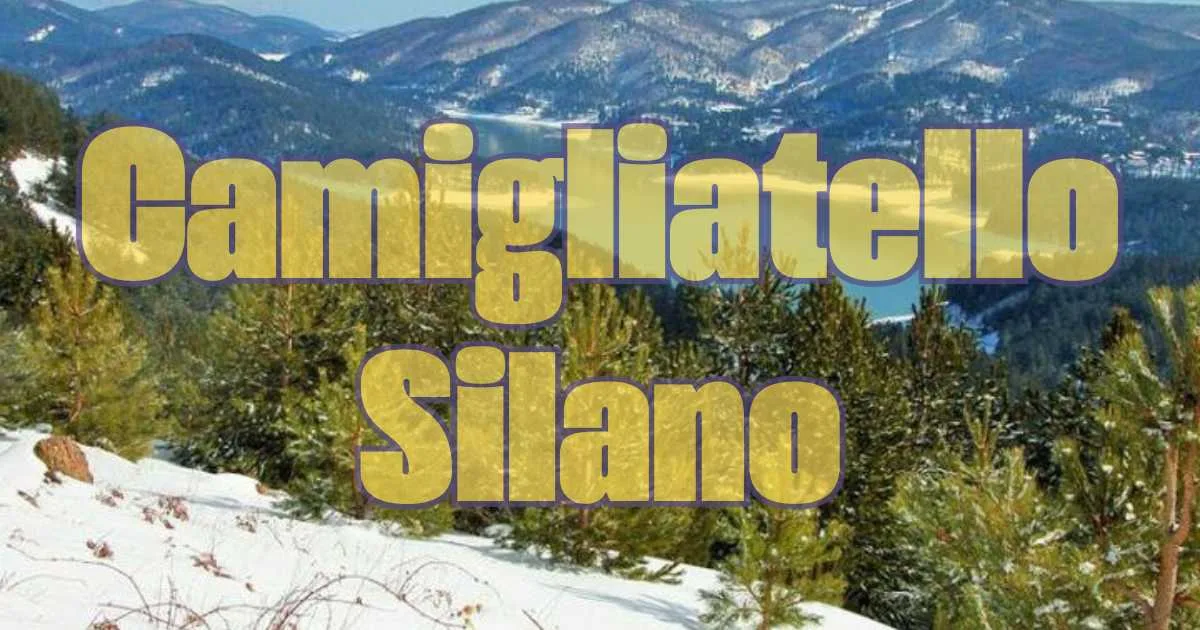 Wildtiere im Winter füttern: Was du dabei falsch machst – und warum es ihnen schadet2026-04-30T06:04:31.900Z"